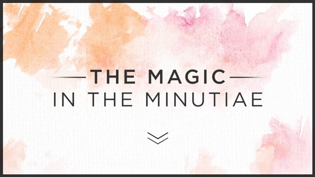 The Magic in the Minutiae
